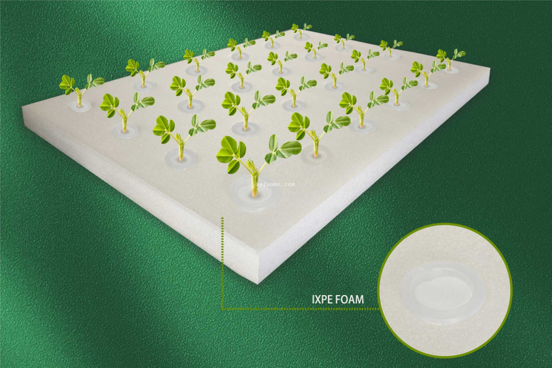 Foam Solutions for the Hydroponics Field